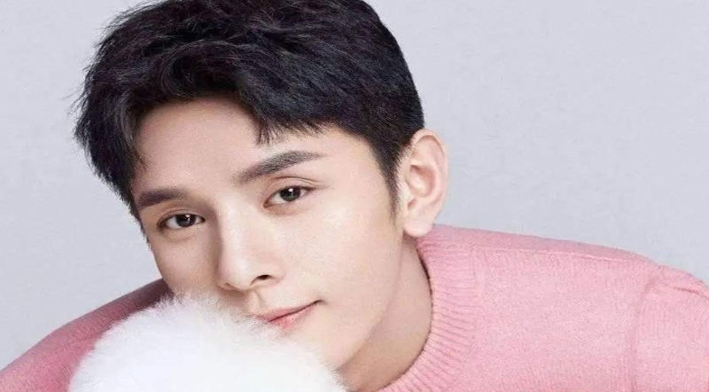 李佳琪|李佳琪拒绝《向往的生活》邀请,薇娅却难当大任,得知原因网友点赞
