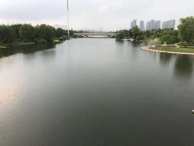  未来|晚上！未来科技城这些人偷偷干这事……