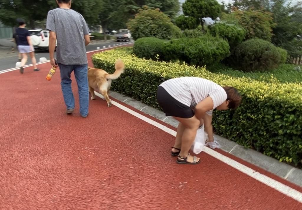 整治|组图——不文明养犬整治见效快，记者拍照拍出欣慰感