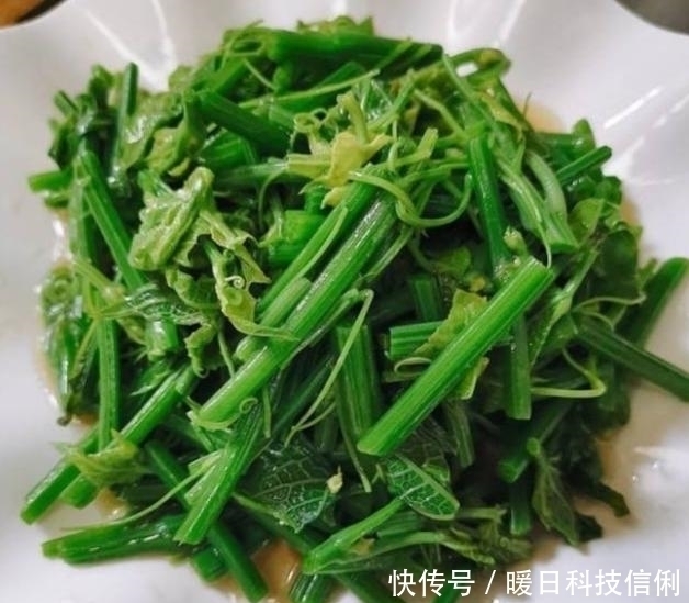 不腻|夏季吃这菜,一斤2块钱,百吃不腻,清肠又排毒,腰细了,腿瘦了