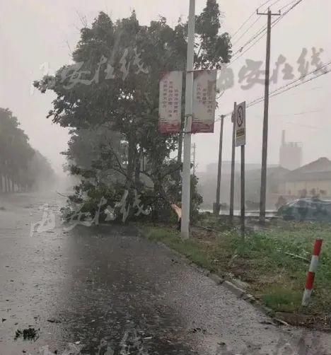  折断|今晨海安突发大风，屋顶被掀翻，树枝被折断，太阳能热水器掉落...