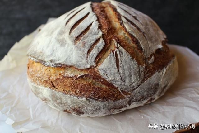  外国人|老面面包为什么更健康？外国人这么喜欢老面酸面包，原因很简单