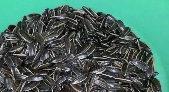 枝头|盆里扔2样东西,养花10年不烂根,叶子油光瓦亮,花苞挂满枝头!