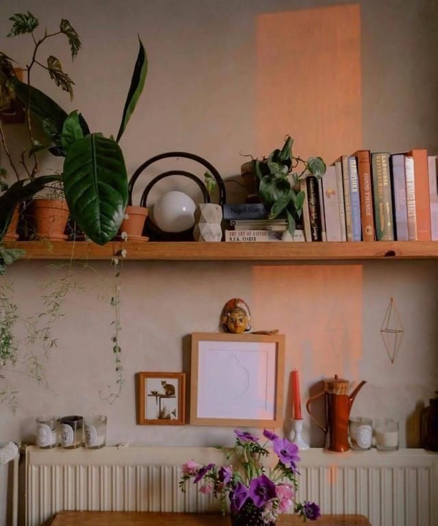  吊钟|她们的家，美得很让人种草