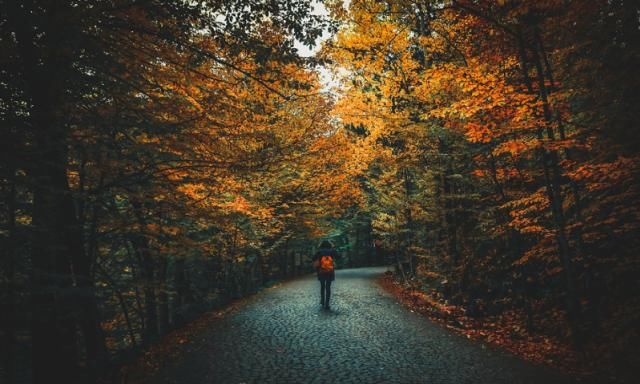  运势|8月贵人指点，鸿运当头，财帛不缺，旺上加旺的生肖