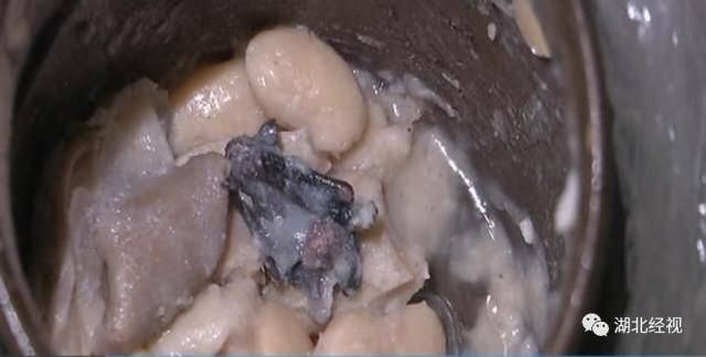  老板|汤里吃出整只蝙蝠！武汉一家人紧急做核酸检测……