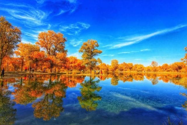 额济纳旗|【阅读】有一种心动,叫额济纳的秋天