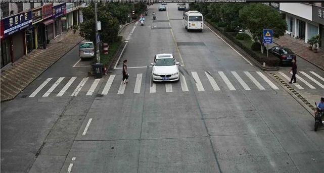 驾驶机动车违反道路|泰顺这些车主被曝光！