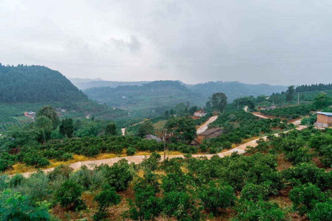  仁寿|仁寿有个村，名字叫“同意”！