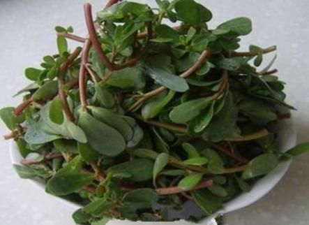 冷冻|9月,遇见这菜就买,一次多买一点,做好放冰箱冷冻,吃着方便