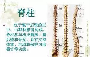  神经|老年人走走停停，走不了远路是为什么？可能是神经通道“堵”了！