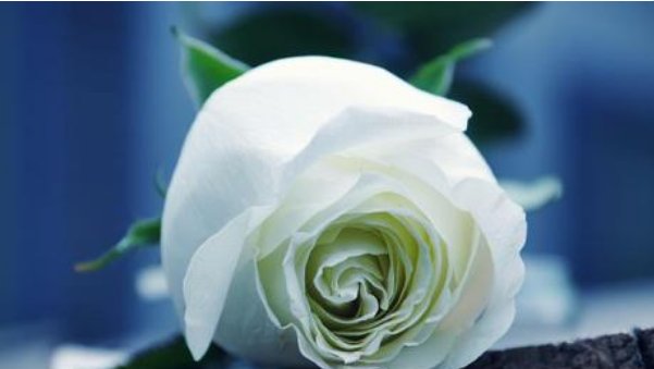  婚后|“一辈子不缺女人”的4生肖男，婚后桃花不断，看看有你老公吗？