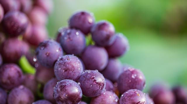 葡萄|葡萄表面的白霜是农药吗？这样洗葡萄，才能吃得放心，吃的健康
