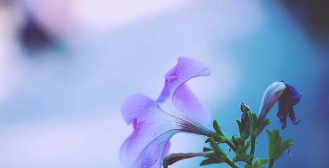 一段话|很现实的一段话,说得真好,今天被刷屏了