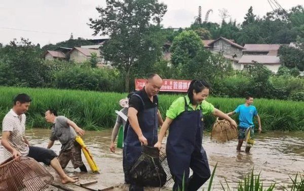  大篷车|开机！四川卫视《乡村大篷车》走进井研