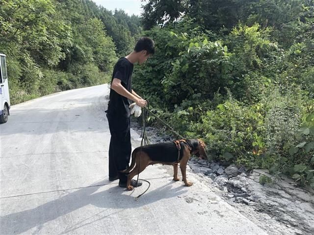  村民|数千村民给警方当眼线，警犬围山逼出饿晕的飞贼