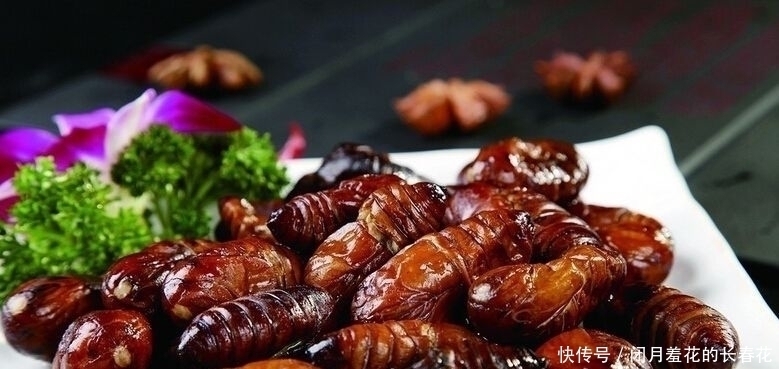 美食|5道最“残忍”的美食前两个能忍,最后一个忍不了