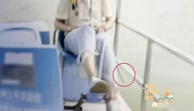  真的|郑爽录制新综艺手机掉湖里，看到第一秒反应：真的既心疼又好笑