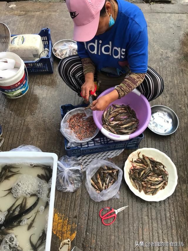 细嫩|酱焖嘎牙子，肉质细嫩，味道浓郁鲜香，做法简单，只需几分钟。