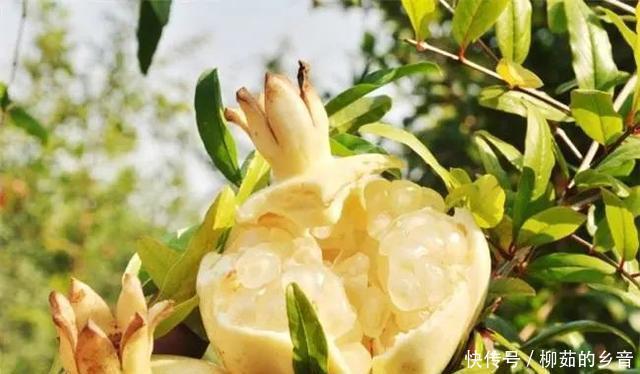 太和板面|感受无穷皖味,开启一场舌尖上的秋游~