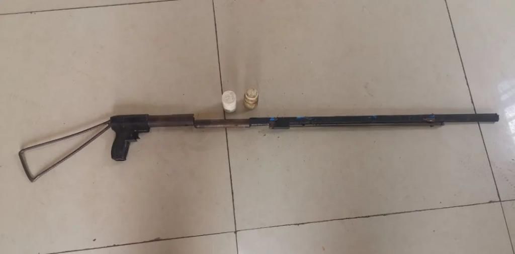 枪支|新平:群众主动上交枪支