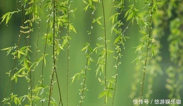  季节|人这一生，最难活出自己的季节