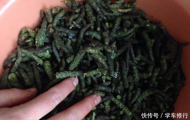  入少许的食|清明前后，这种树开花，花穗比肉都香，错过要等一年！