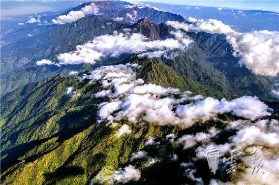  中国|高黎贡山 | 中国五星级观鸟胜地，你知道吗？