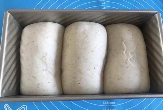 健康|告别高脂肪就吃全麦吐司,营养又健康,早餐再也不用发愁了