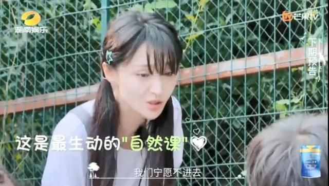  听雷|《奇妙小森林》《重启之极海听雷》里的德清元素等你get!