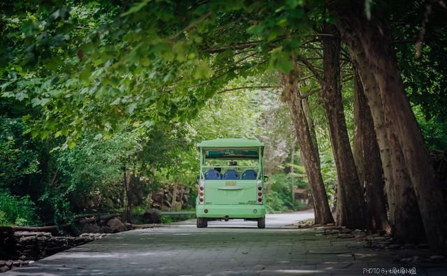  带走多少|无限量捞鱼还能免费全带走！这个暑假太行山自驾游，带娃去虎山