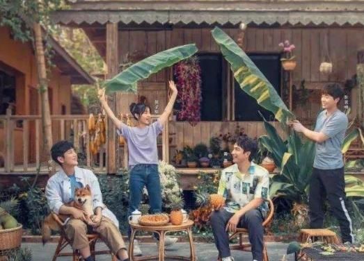  致命|《向往的生活》广告植入多烦人？连黄磊都忍不了，官方吐槽最致命