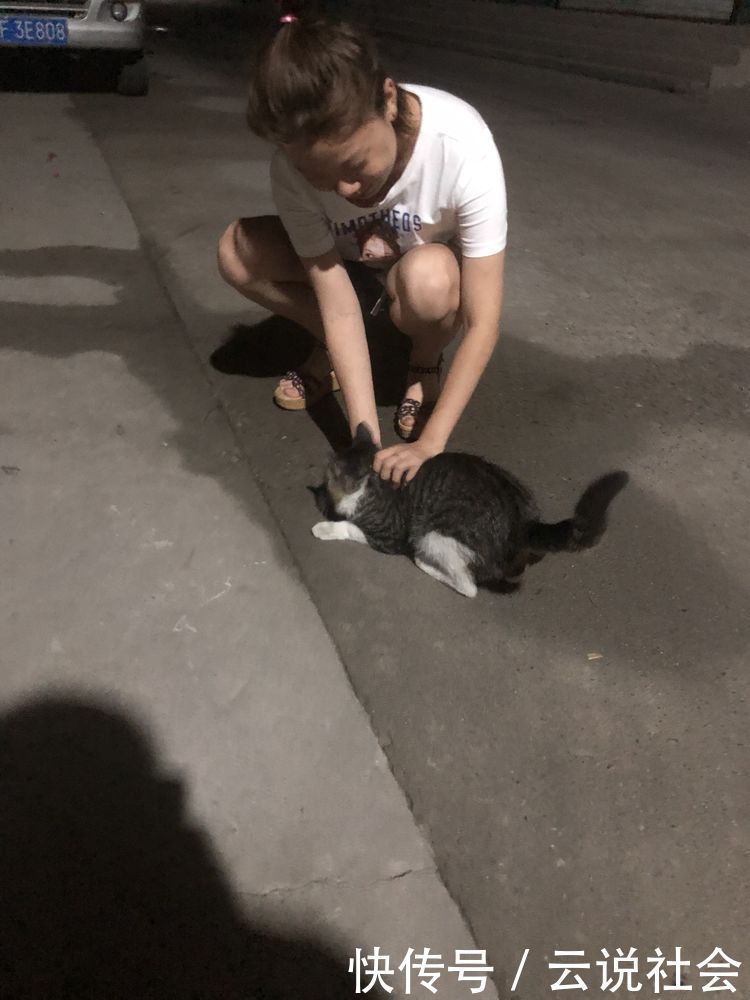 理科|别让理科男养猫，你永远不知道他会拿你的猫去计算些什么东西