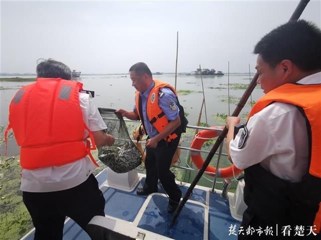 严打|启动三年专项行动!湖北省警方严打长江非法捕捞犯罪