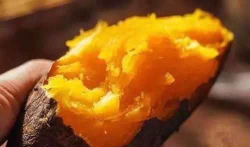 红薯|蒸红薯时,切记不要直接上锅蒸,老菜农教你一招,个个香甜更软糯