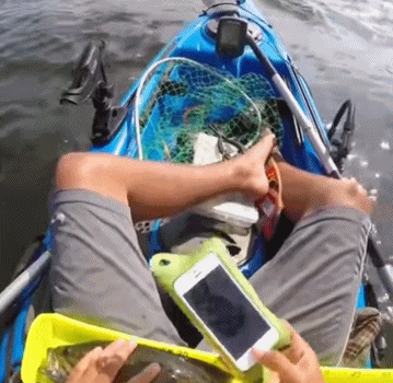 GIF|搞笑GIF:你怎么钻在这里面了!里面的水好喝吗?