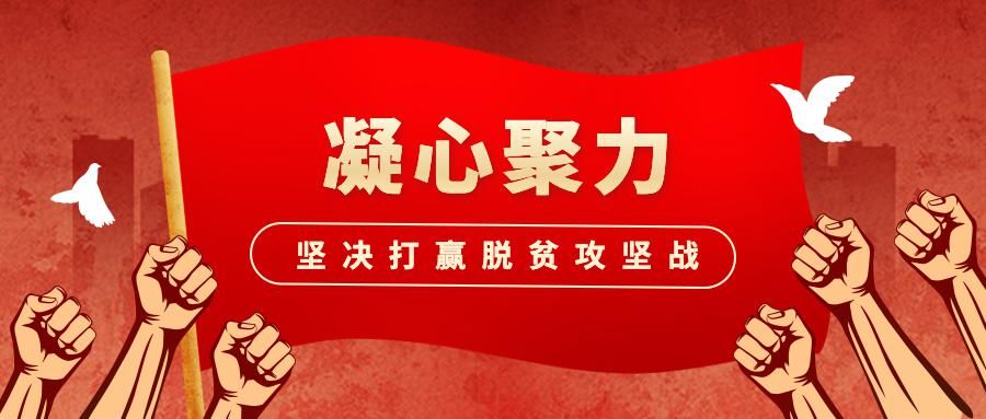 箱梁|西江大桥今日完成箱梁吊装!