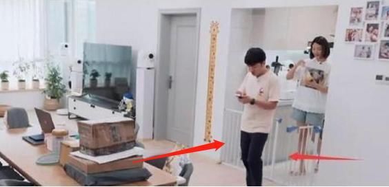  护栏|王祖蓝家的豪宅曝光，家具全做包角还能理解，厨房却设有护栏？