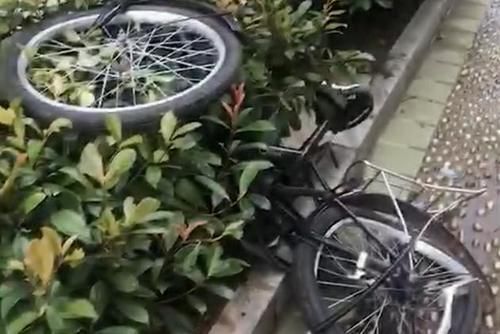  母亲|9岁男孩18楼扔下自行车险砸中行人 母亲陪同道歉