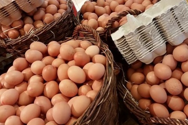  蛋白质|每天一个煮鸡蛋好事多多，但切记“三不”，早知道早受益！