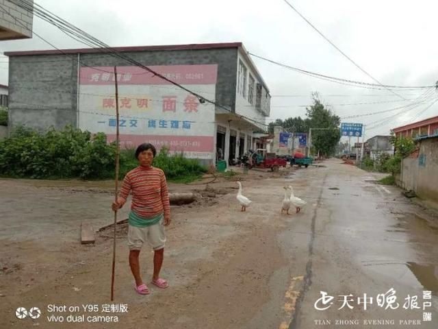  大白鹅|白鹅顽皮“离家出走”民警冒雨帮忙寻回