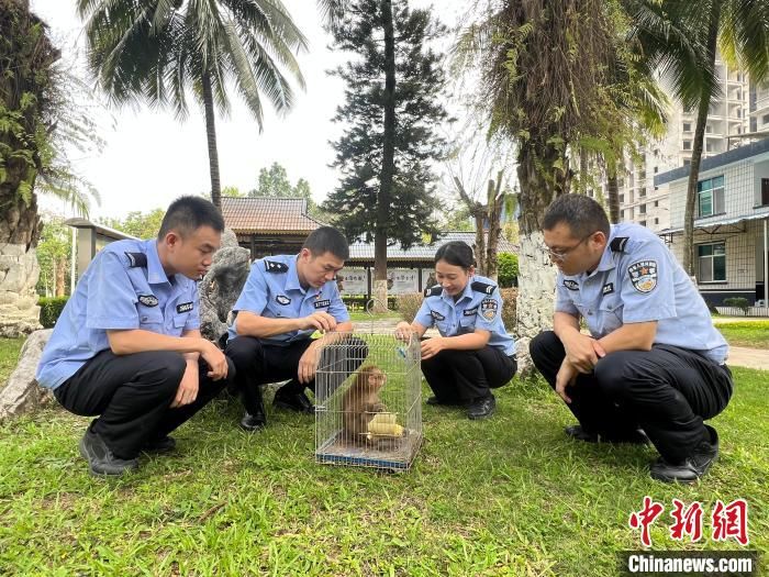 云南西双版纳：猕猴误闯派出所 民警暖心救助