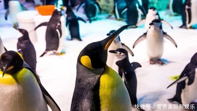 看过|看过太多的海,仍为这座“北方明珠”着迷