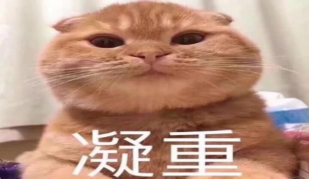 枞阳|枞阳公安交警又?曝光一批交通违法行为，快看可有你认识的~