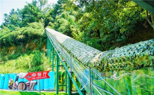 江南|一场说走就走的探险旅行，千岛湖上的空中悬廊，720俯瞰江南美景