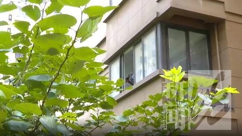  摄像头|晕！沪一对小情侣气炸了，合租房内发现针孔摄像头正对着床…