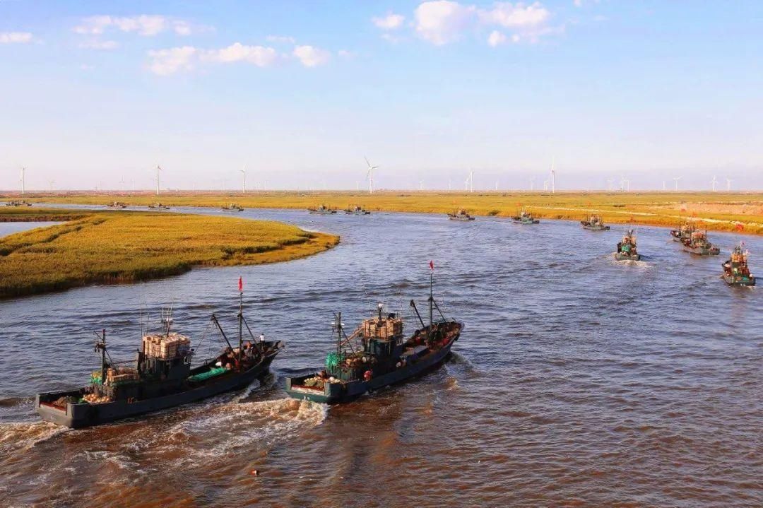  潍坊市|国家捕捞许可证，不如他的“旗子”？最近，这个犯罪团伙栽了……｜今晚九点半