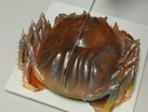 切开|妹妹拿回一只“螃蟹”,爸爸准备蒸,切开一看是“它”,幸亏没蒸