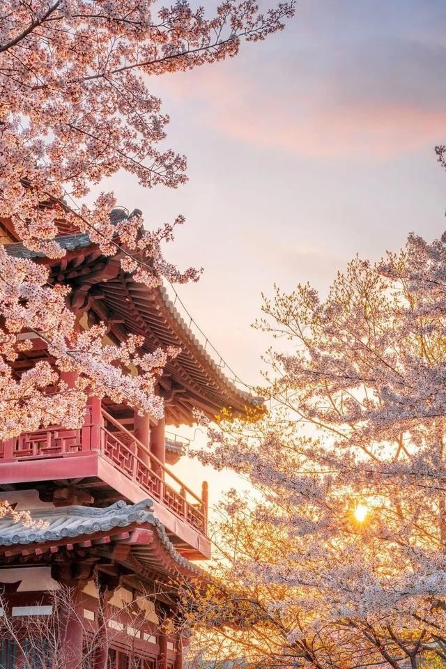  星球|一夜爆红上榜孤独星球！这个古城美食不输成都，景区免费高铁直达