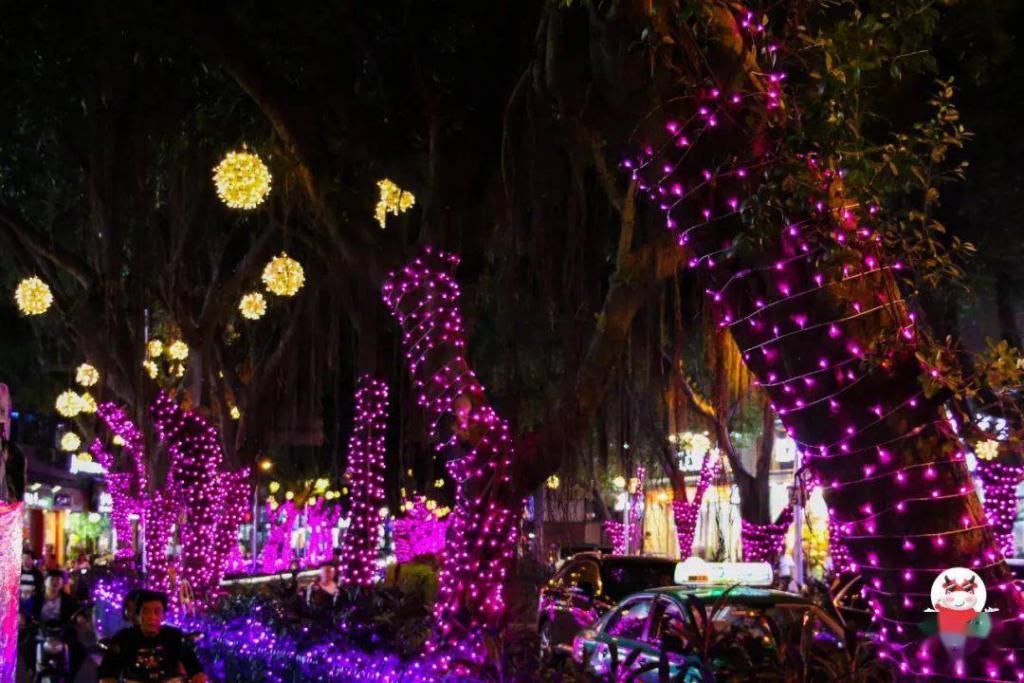 鼓西路|福州最美环湖夜市来啦！灯光秀、鲜花美食，一路逛吃逛吃！